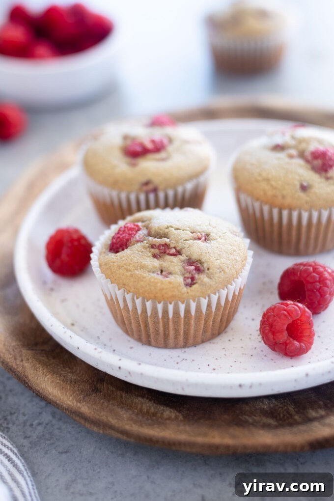 Three perfectly baked gluten-free raspberry muffins presented on a pristine white plate, showcasing their fluffy texture and fresh raspberry bursts.
