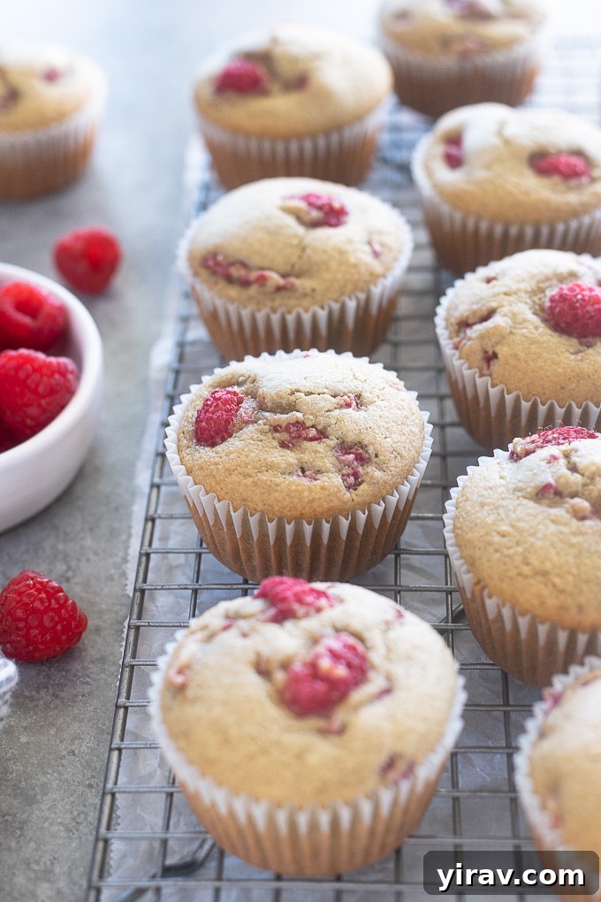 Freshly baked raspberry muffins cooling on a wire rack, highlighting their perfectly golden tops and delicate crumb.