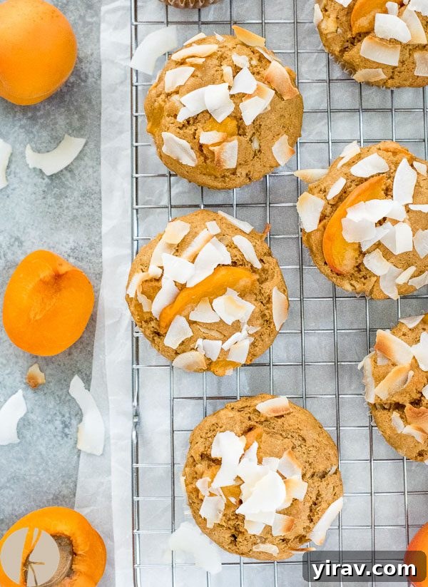 Sunny Apricot Coconut Muffins 3 Two apricot coconut muffins with visible apricot pieces and coconut flakes on a wire rack.