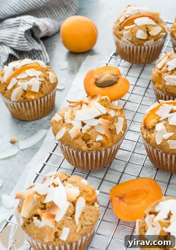 Sunny Apricot Coconut Muffins 4 Three apricot coconut muffins arranged on a rustic wooden board with fresh apricots.