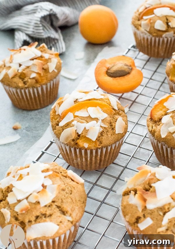 Sunny Apricot Coconut Muffins 5 Close-up of apricot coconut muffins topped with golden toasted coconut flakes.