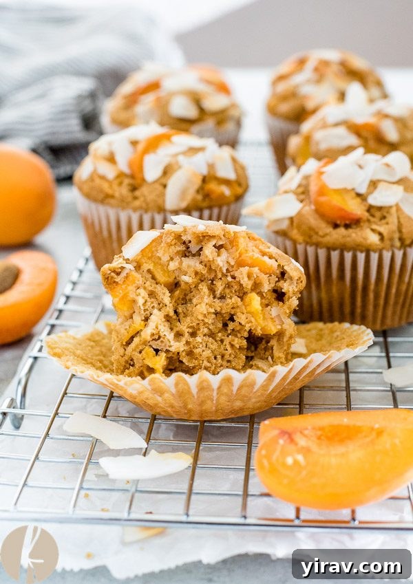 Sunny Apricot Coconut Muffins 6 A healthy apricot coconut muffin cut in half, revealing the fluffy texture and fruit chunks.