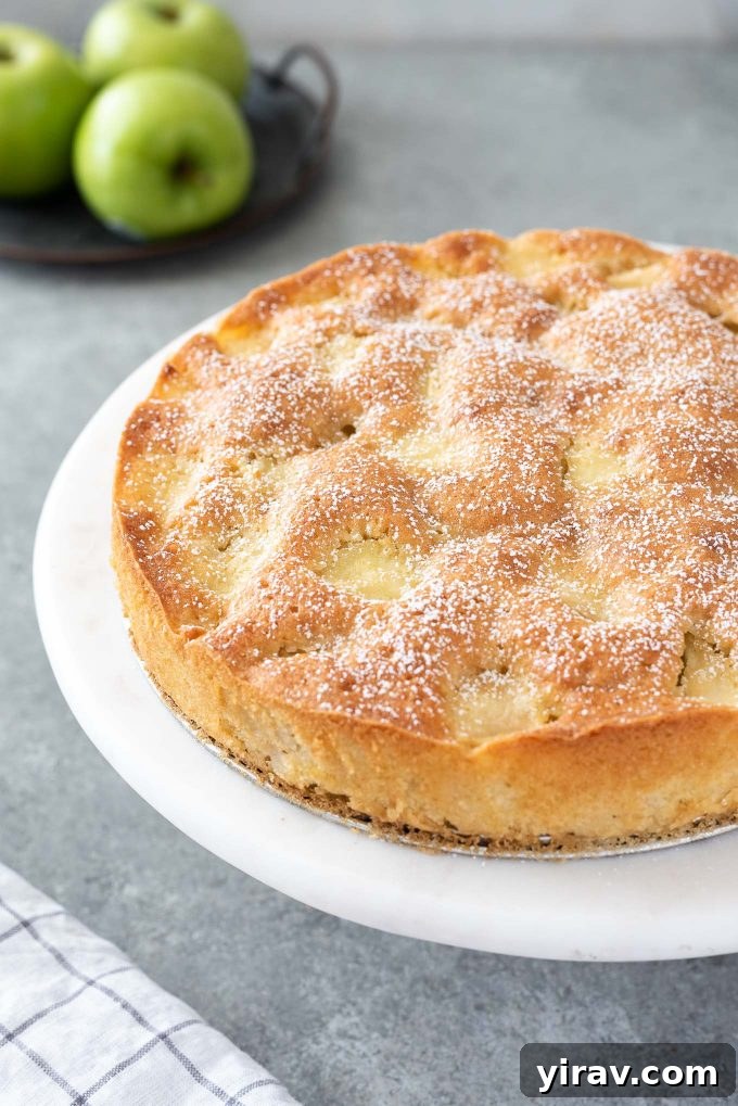 French apple cake dusted with powdered sugar