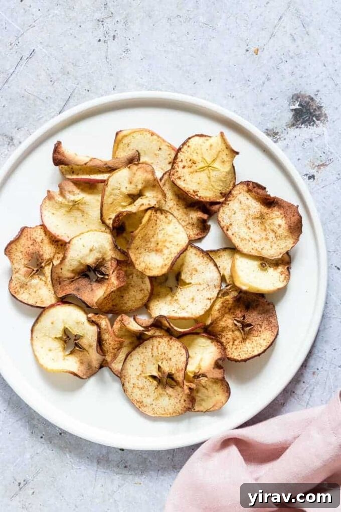 Crispy air fryer apple chips