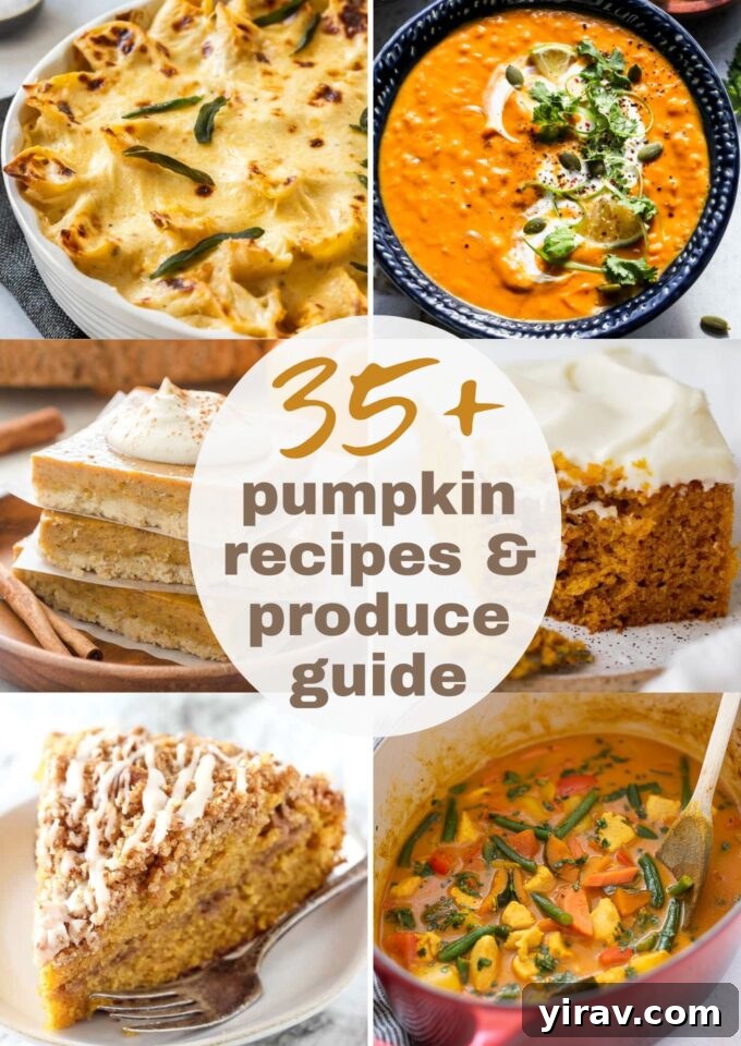 35 Pumpkin Recipes Plus Your Essential Produce Guide 2 Collection of 35+ pumpkin recipes for fall including savory and sweet dishes