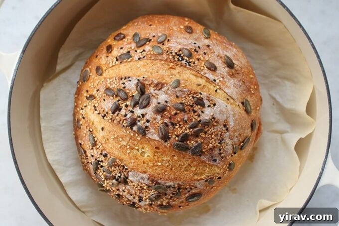 Rustic Easy Pumpkin No Knead Bread loaf