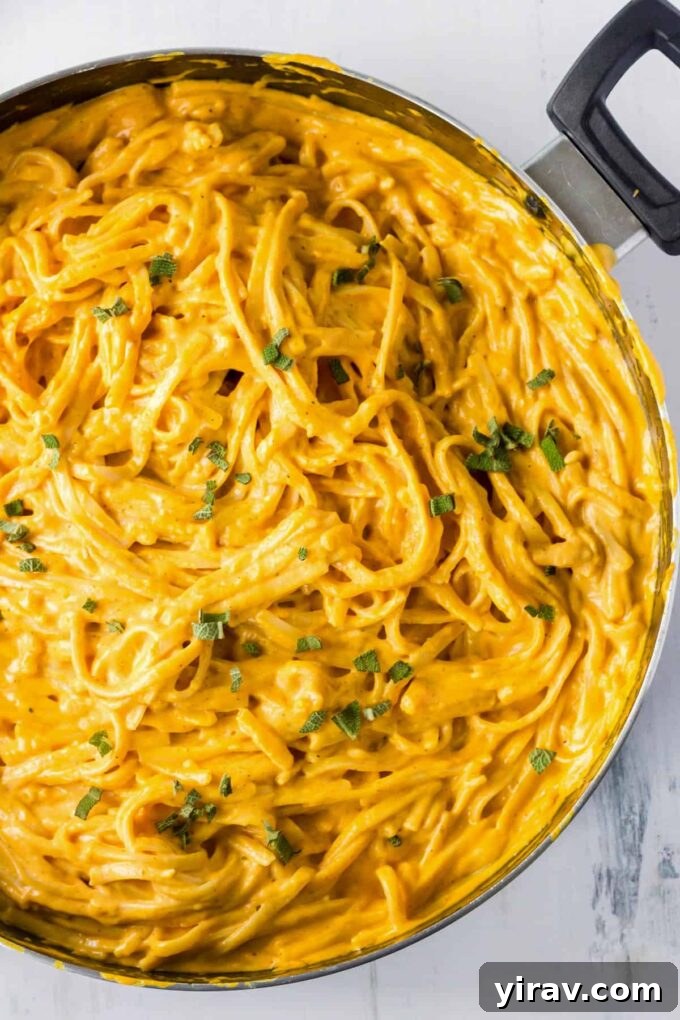 Creamy Pumpkin Pasta Sauce with fettuccine in a pan