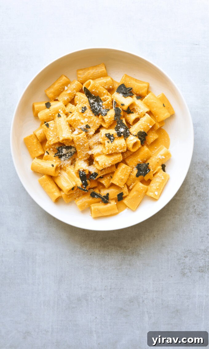 Creamy Pumpkin Rigatoni with crispy sage leaves