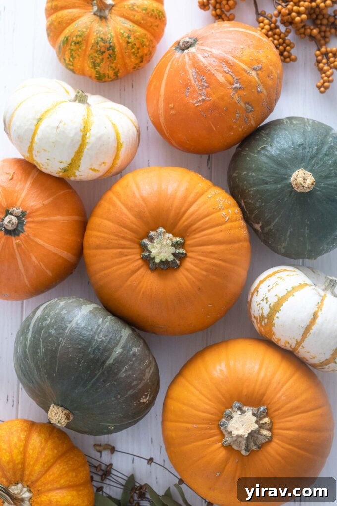 35 Pumpkin Recipes Plus Your Essential Produce Guide 3 Variety of fresh pumpkins including sugar pie, kabocha, and red kuri, ideal for cooking and baking