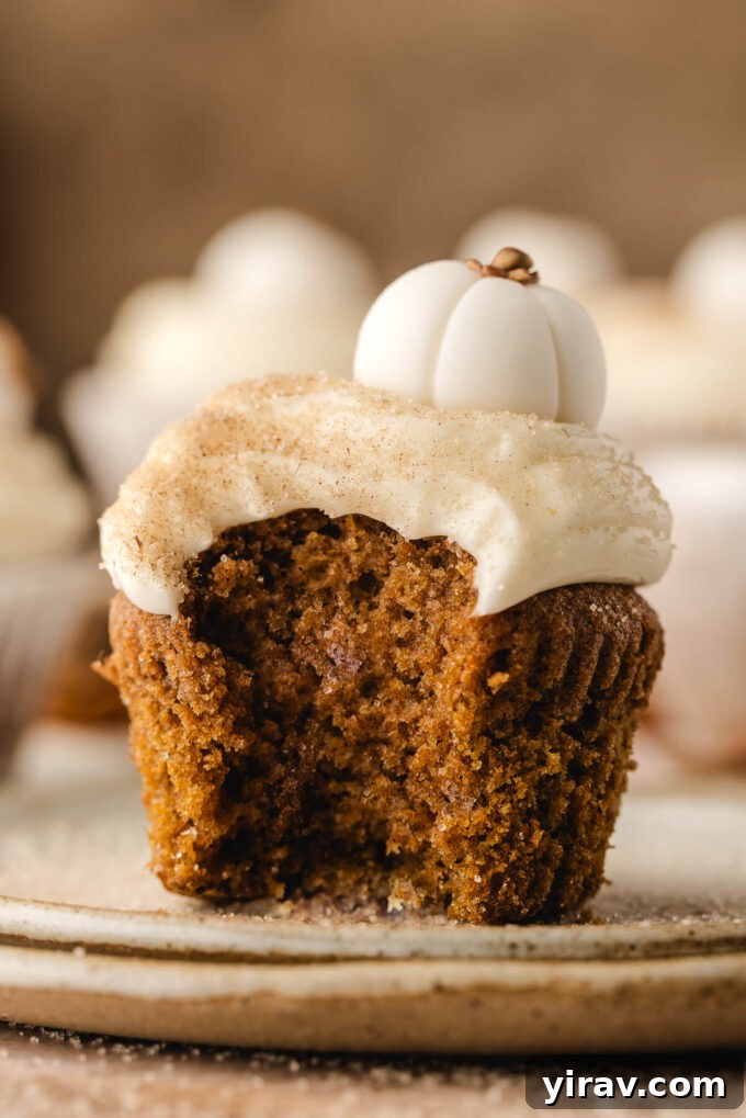 Pumpkin Cupcake with a bite taken out, showing cream cheese frosting