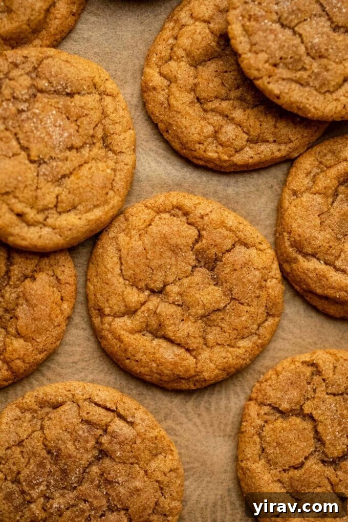 Soft and chewy Pumpkin Snickerdoodles on parchment paper