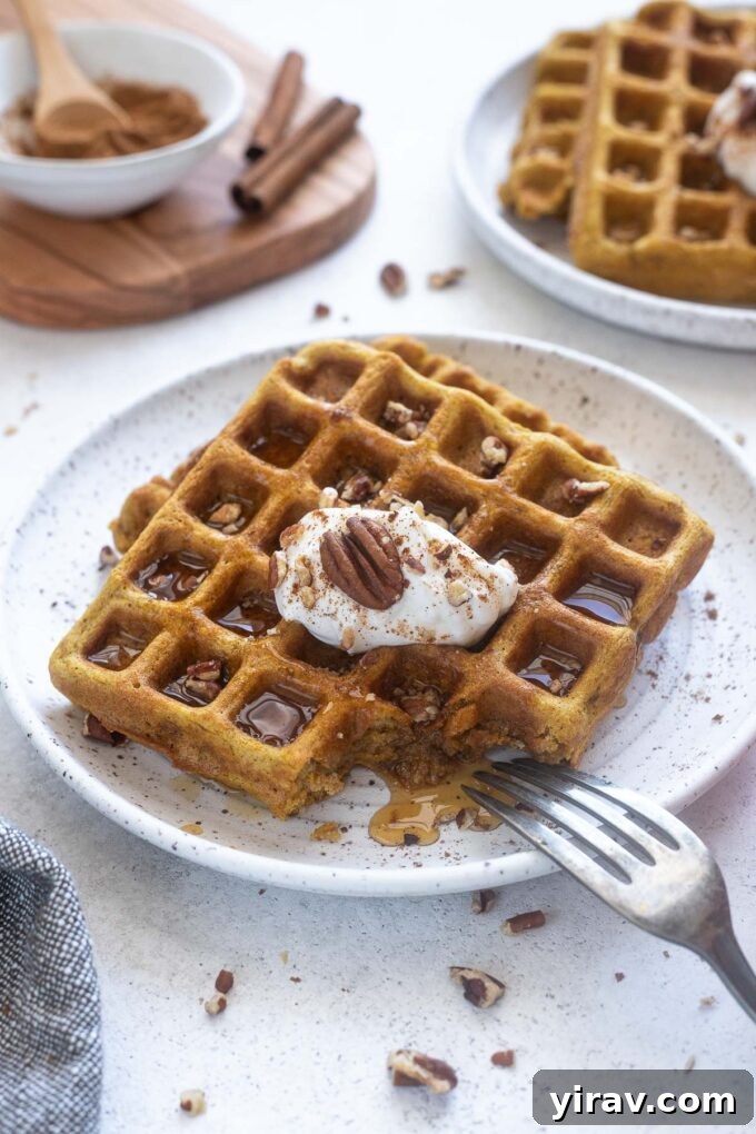 Fluffy Pumpkin Spice Waffles on a plate with pecans and maple syrup