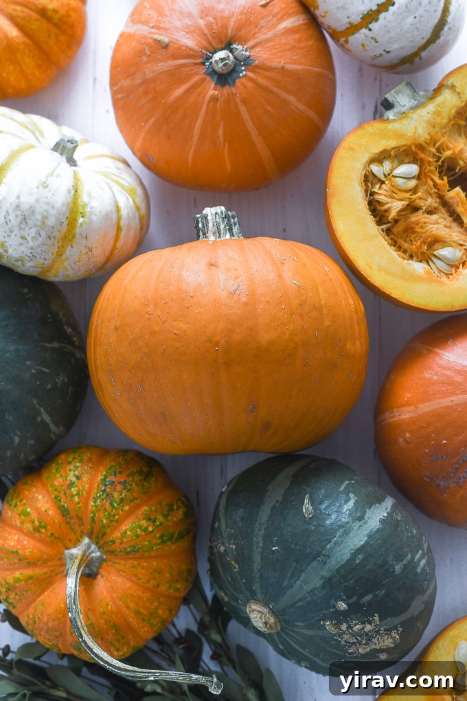 35 Pumpkin Recipes Plus Your Essential Produce Guide 5 Fresh pie pumpkins arranged for cooking and baking, highlighting their culinary potential