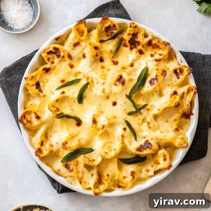 Pumpkin and Ricotta Stuffed Pasta Shells with a creamy sauce