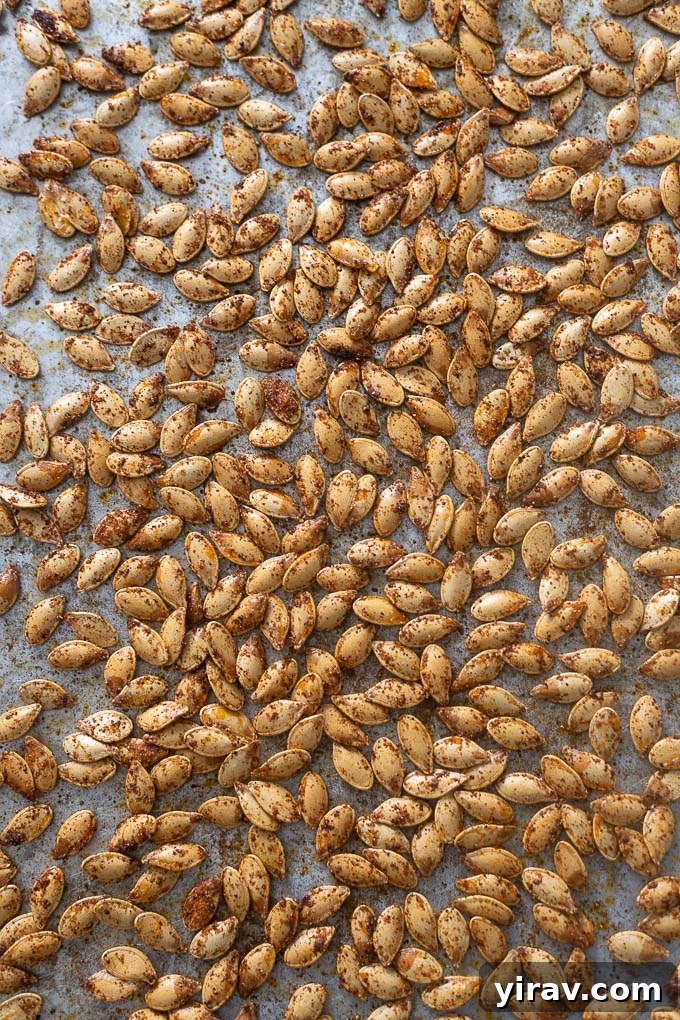 A baking sheet filled with oven-roasted pumpkin seeds, golden brown and perfectly crispy.