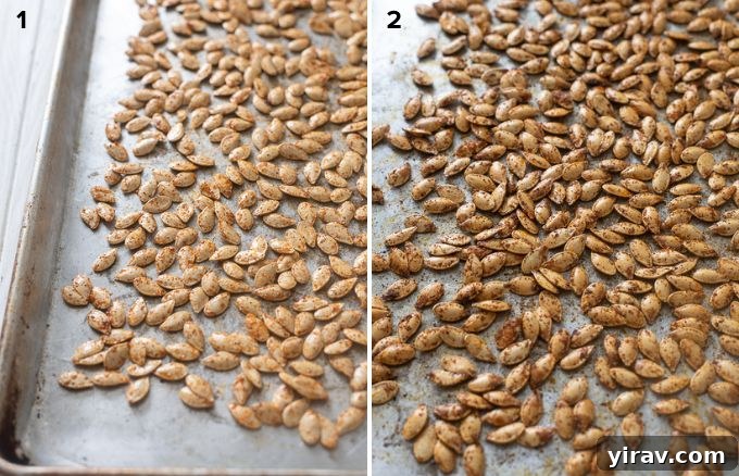 Close-up of raw pumpkin seeds tossed with olive oil and spices on a baking sheet, ready for the oven.
