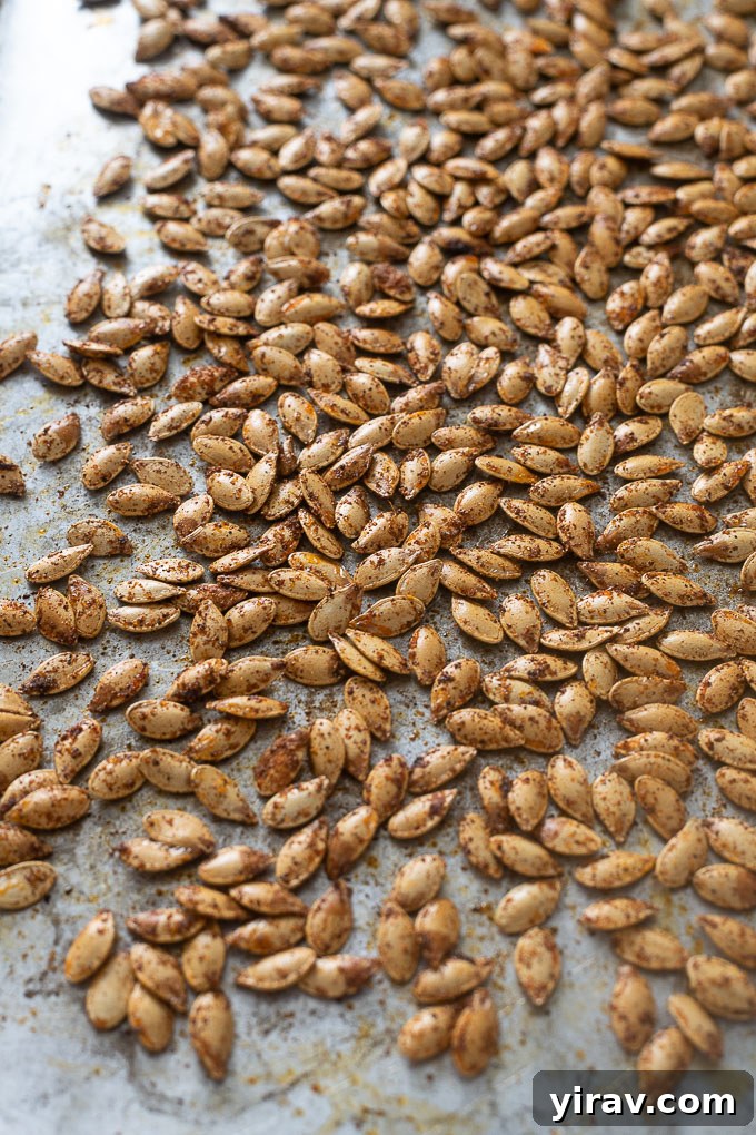 Freshly oven-roasted pumpkin seeds spread out on a baking sheet, showcasing their golden-brown color and crispy texture.