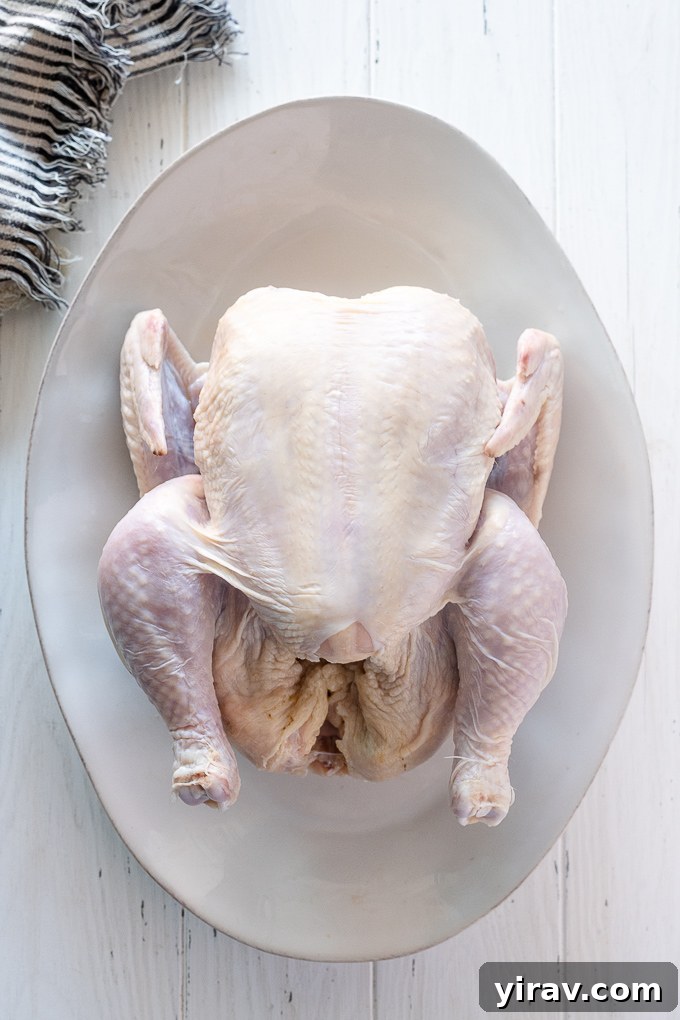 A pristine whole chicken awaits butchering on a clean platter, symbolizing the start of a culinary journey to maximize its value and versatility.