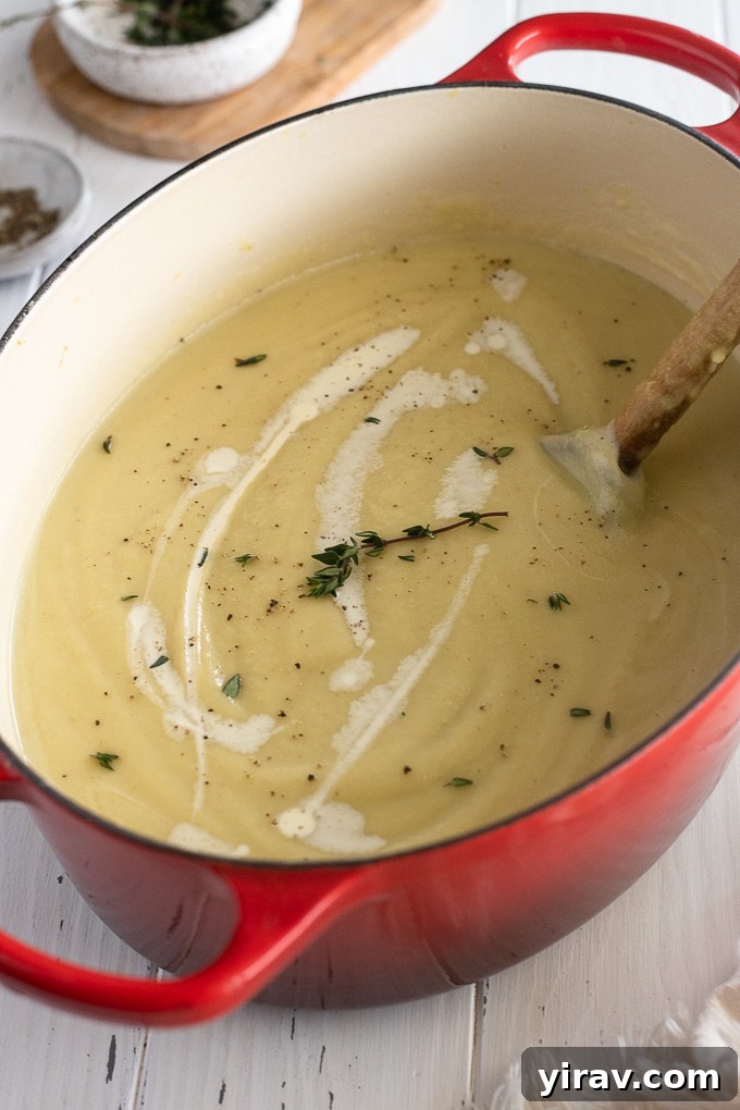 Creamy parsnip soup in a Dutch oven with cream and thyme