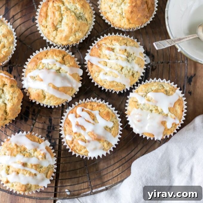 Lemon, poppy seed, and parsnip muffins with a lemon drizzle
