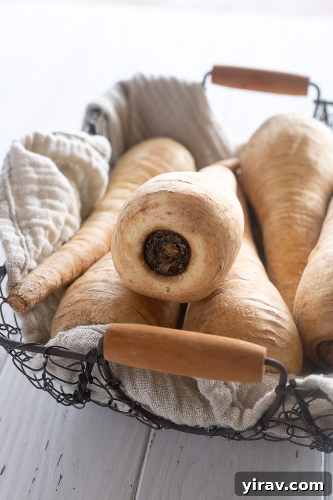 Assortment of fresh parsnips arranged aesthetically in a wire basket lined with linen
