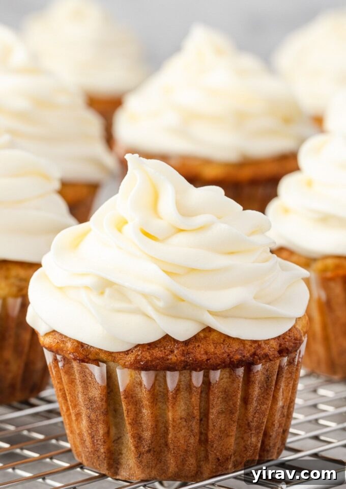 Dreamy Cream Cheese Frosting 2 Cream cheese frosting piped beautifully on a cupcake, ready to be enjoyed.