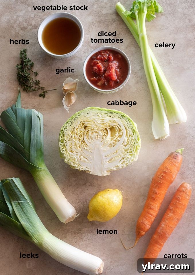Cabbage soup ingredients laid out on a table, ready for cooking.