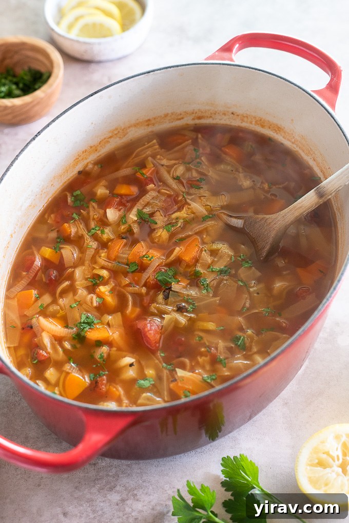 Cabbage vegetable soup in a Dutch oven, presented as a wholesome and inviting meal.