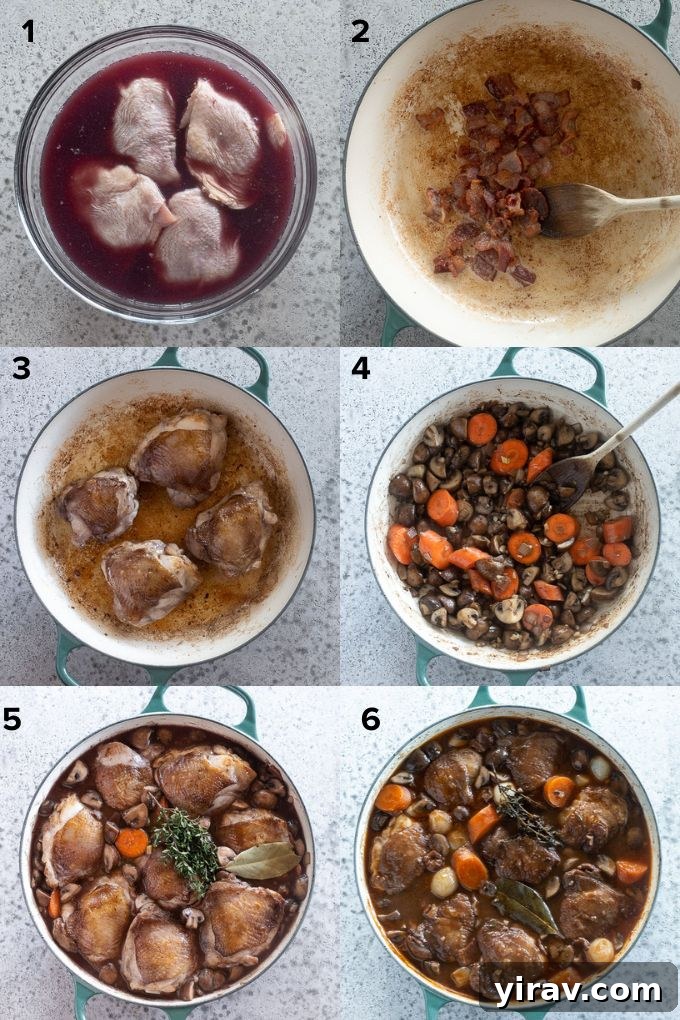 French Red Wine Chicken Stew 5 Step-by-step process of making Coq au Vin, showing browning chicken and sautéing vegetables in a Dutch oven.