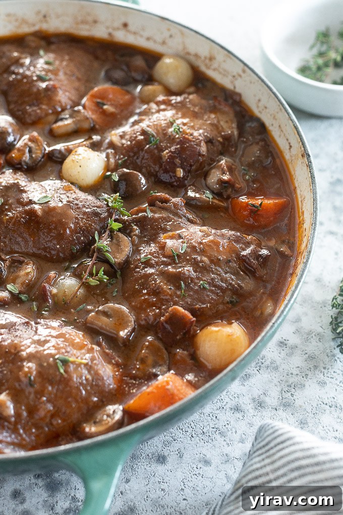 French Red Wine Chicken Stew 6 Traditional Coq au Vin in a Dutch oven, garnished with fresh thyme sprigs.