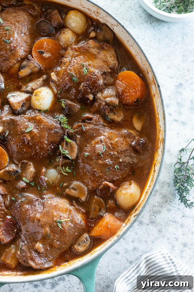 French Red Wine Chicken Stew 7 Traditional Coq au Vin recipe in a pot, garnished with fresh thyme.