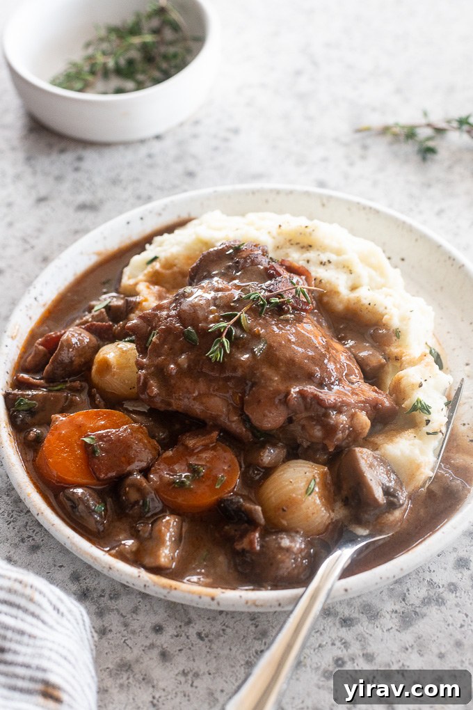 French Red Wine Chicken Stew 8 A plate of Coq au Vin served over creamy mashed potatoes, garnished with fresh herbs.