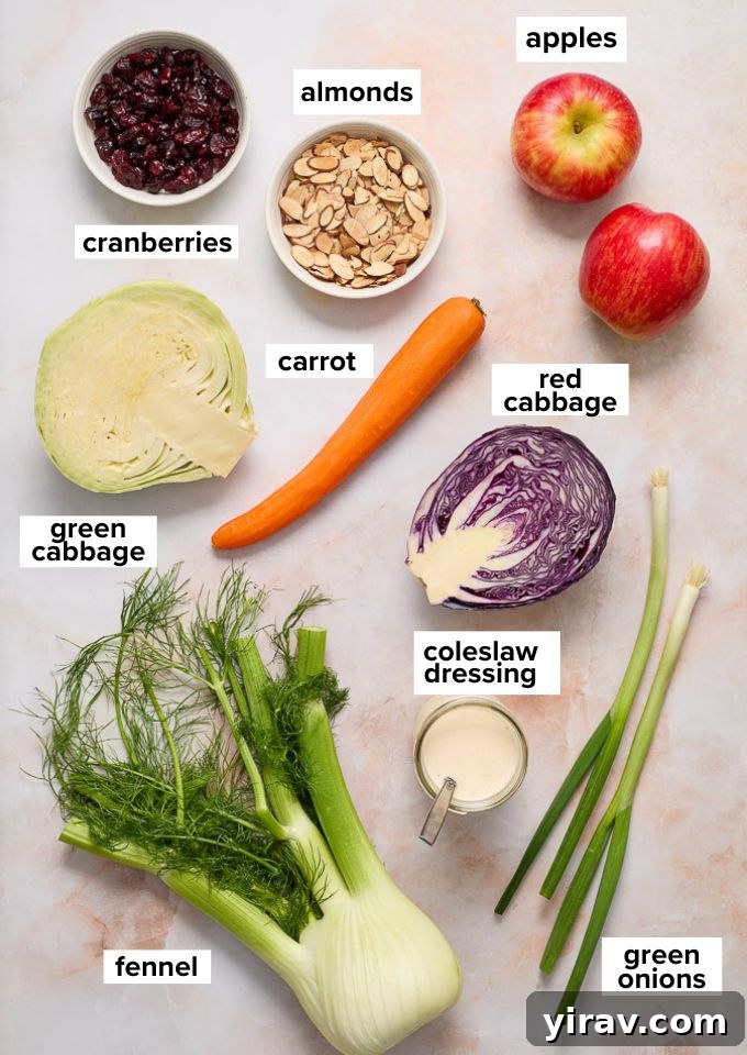 Bright Apple Fennel Slaw 4 Individual ingredients for Apple Fennel Slaw, including various cabbages, apples, fennel, and cranberries, neatly arranged.