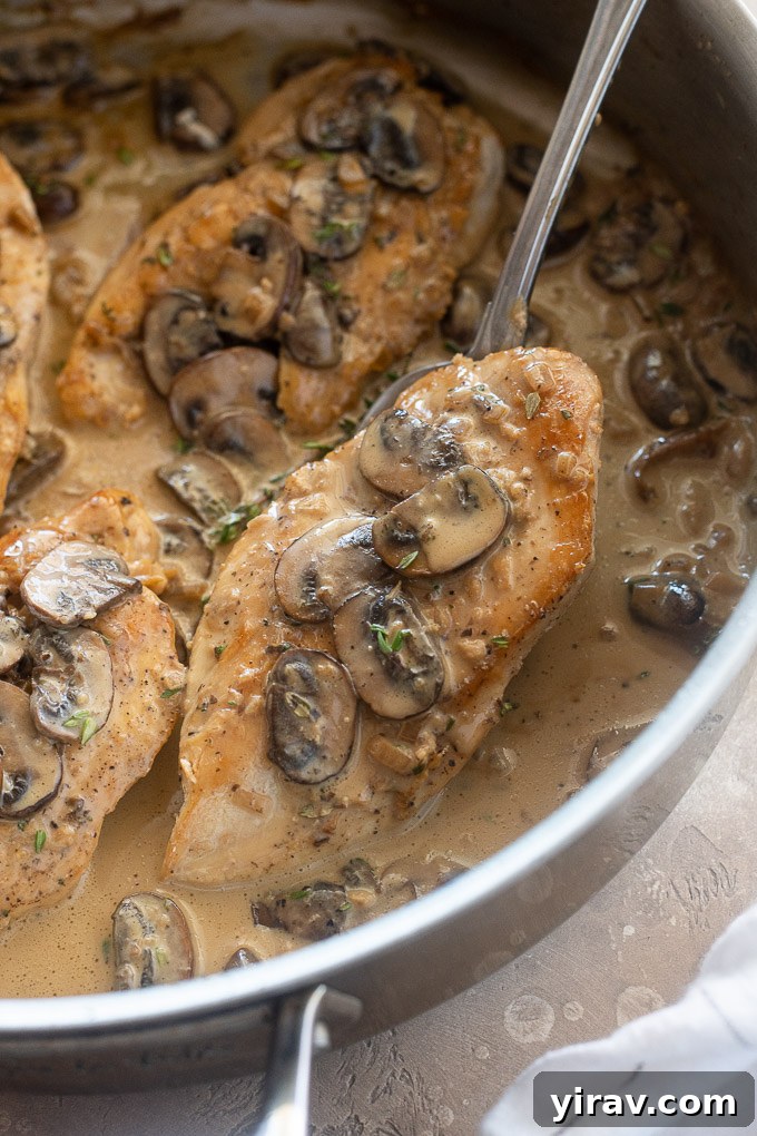 A close-up of Creamy Chicken Marsala being lifted from a skillet with a serving spoon, showcasing the rich sauce and mushrooms.