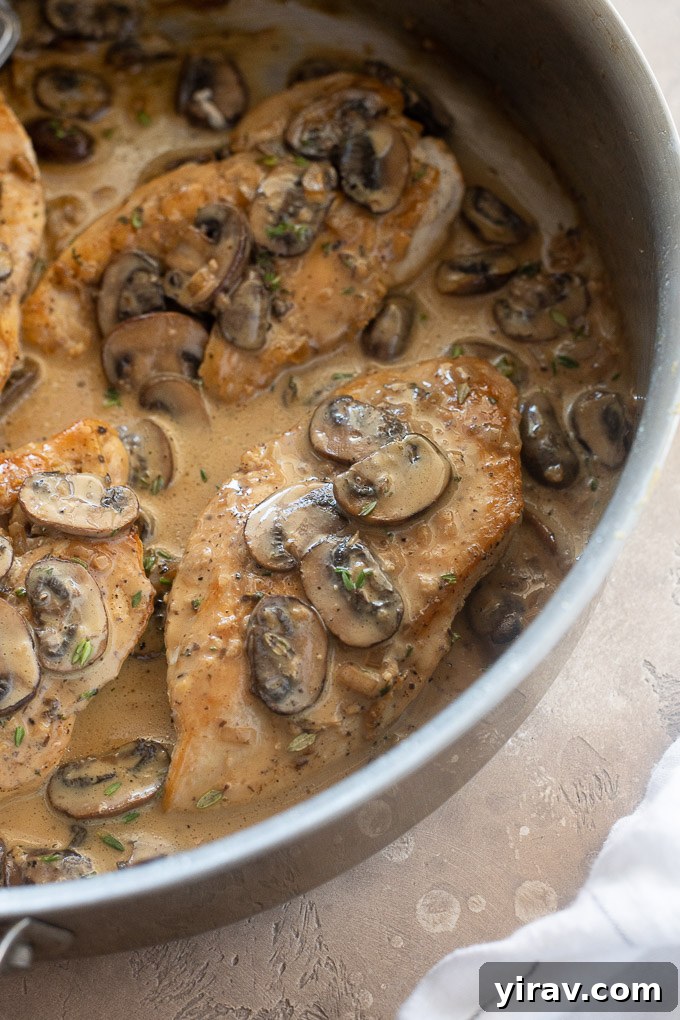 Creamy Chicken Marsala simmering in a large skillet, highlighting the rich sauce, golden chicken, and abundant mushrooms.
