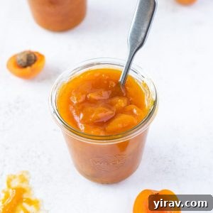 Handcrafted Golden Apricot Jam 8 A smaller jar of homemade apricot jam with a spoon buried into its center