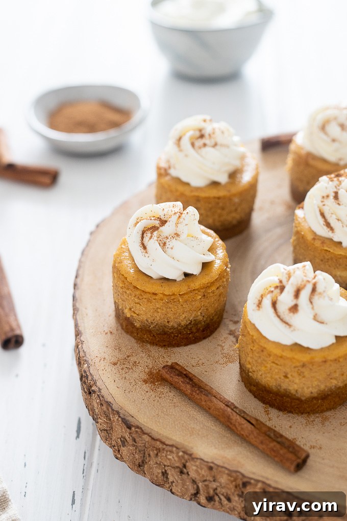 Bite Sized Pumpkin Cheesecake Treats 3 Arrangement of mini pumpkin cheesecakes on a serving tray, adorned with cinnamon sticks and autumn leaves.