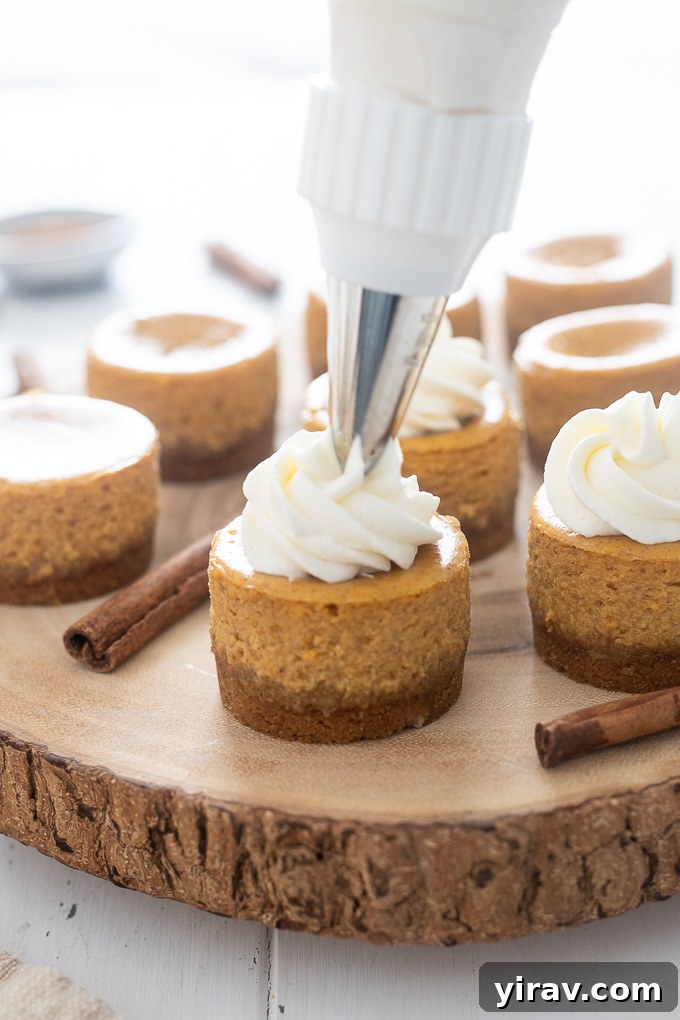 Bite Sized Pumpkin Cheesecake Treats 6 A perfectly piped mini pumpkin cheesecake with whipped cream on top, ready for serving.