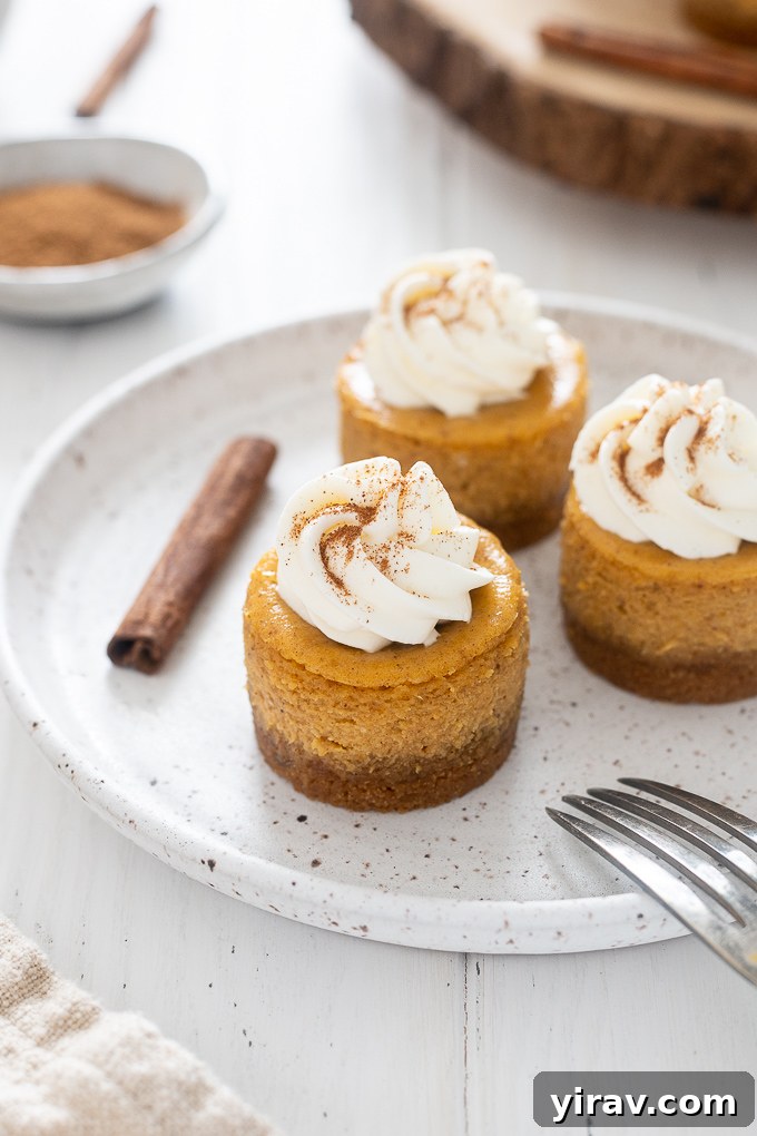 Bite Sized Pumpkin Cheesecake Treats 7 Mini pumpkin pie cheesecakes on a pristine white plate, showcasing their inviting texture.