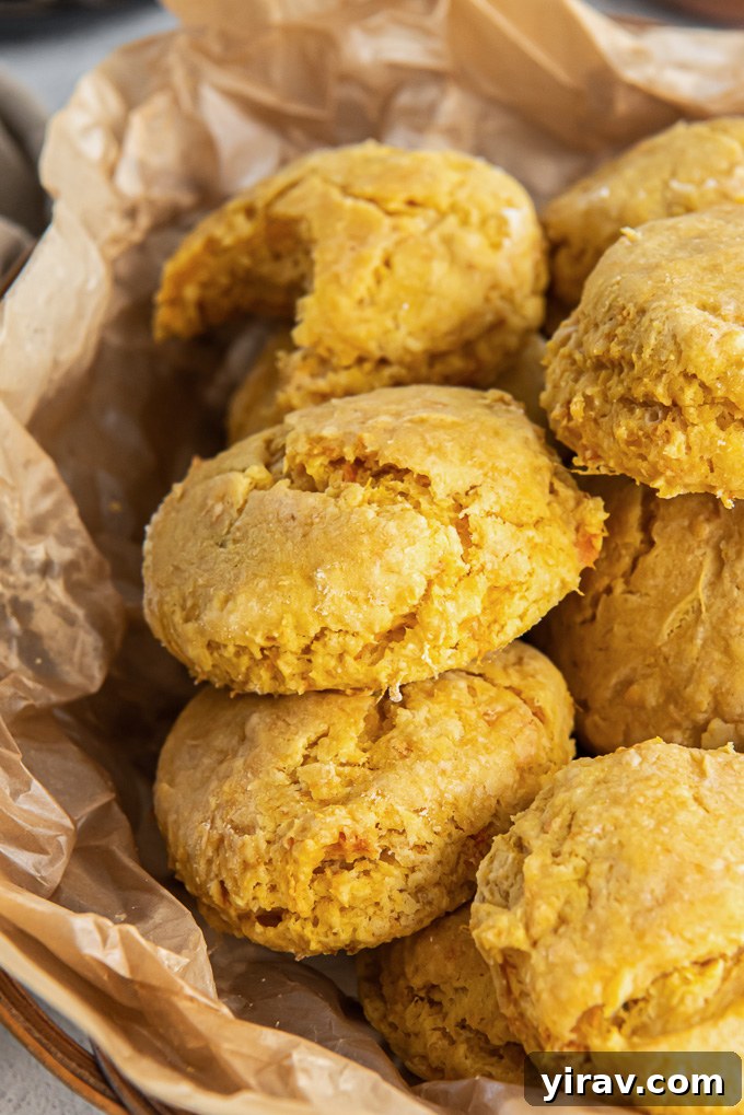 A charming basket filled with fluffy, golden sweet potato biscuits, perfect for sharing.