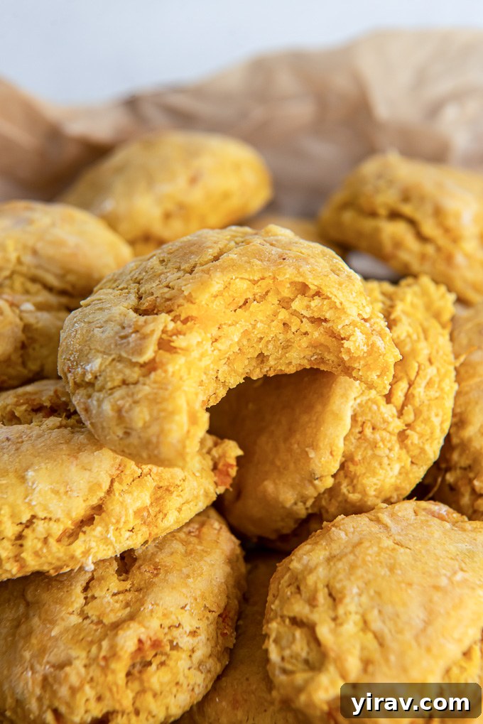 A sweet potato biscuit with a bite taken out, revealing its fluffy interior.