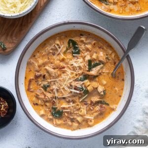 Cupid's Comfort Chicken Soup 8 A close-up shot of a bowl of marry me chicken soup, garnished with fresh herbs and a spoon.