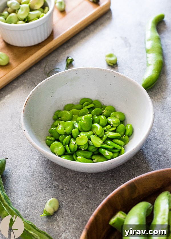 Cooked fava beans in a bowl