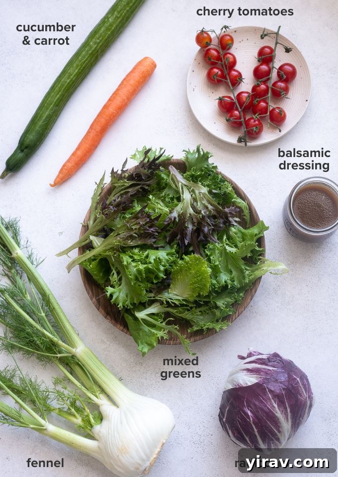 A selection of fresh Insalata Mista ingredients laid out: mixed greens, radicchio, thinly sliced fennel, cherry tomatoes, cucumber slices, and shaved carrot.