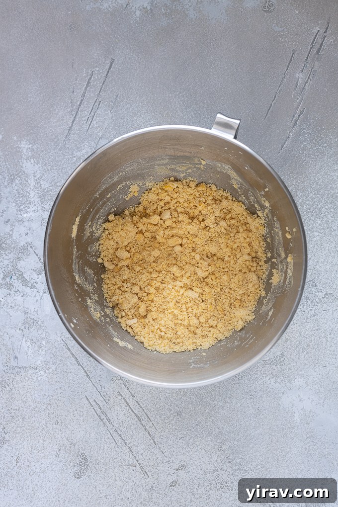 Buttery Sweet Tart Dough 6 Pate sucree dough after mixing, showing a moist, crumbly texture.