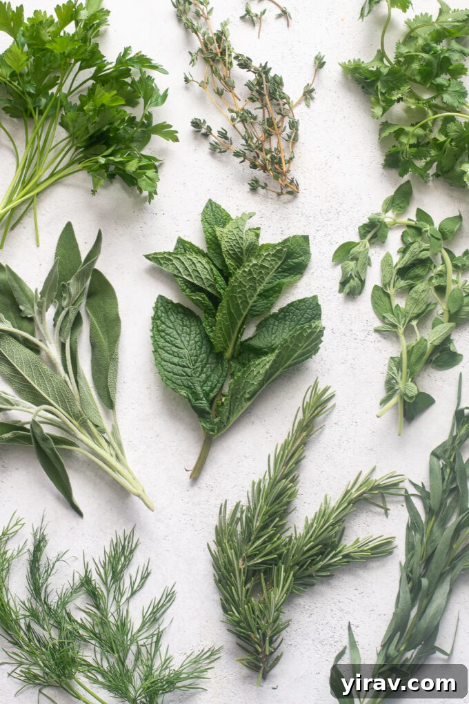 The Essential Guide to Fresh Herbs 2 A variety of types of fresh herbs to cook with.