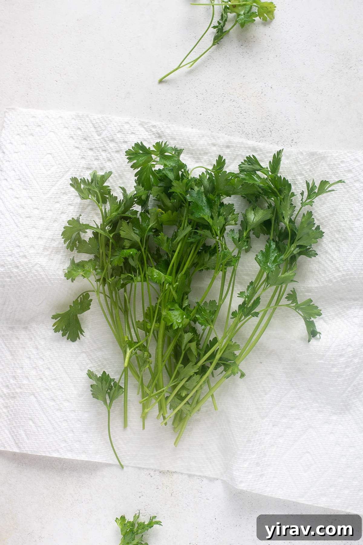 The Essential Guide to Fresh Herbs 10 Washed parsley blotted dry on paper towels.