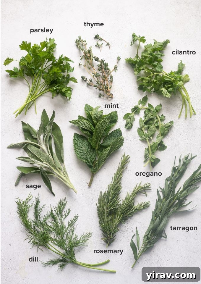 The Essential Guide to Fresh Herbs 3 Common fresh herbs for cooking.