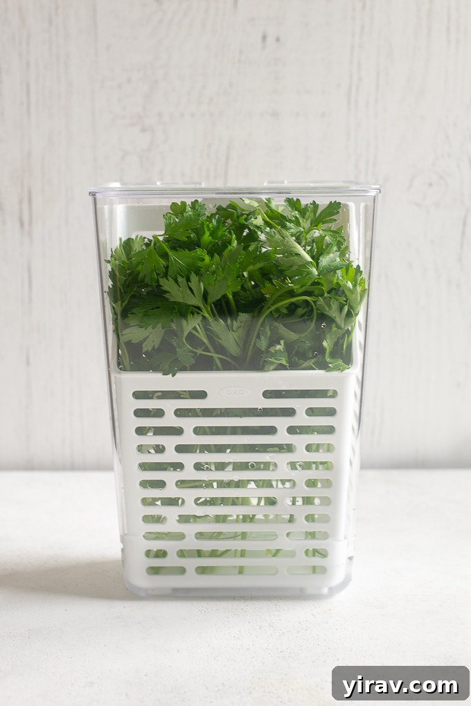 The Essential Guide to Fresh Herbs 4 OXO herb keeper for storing fresh herbs.