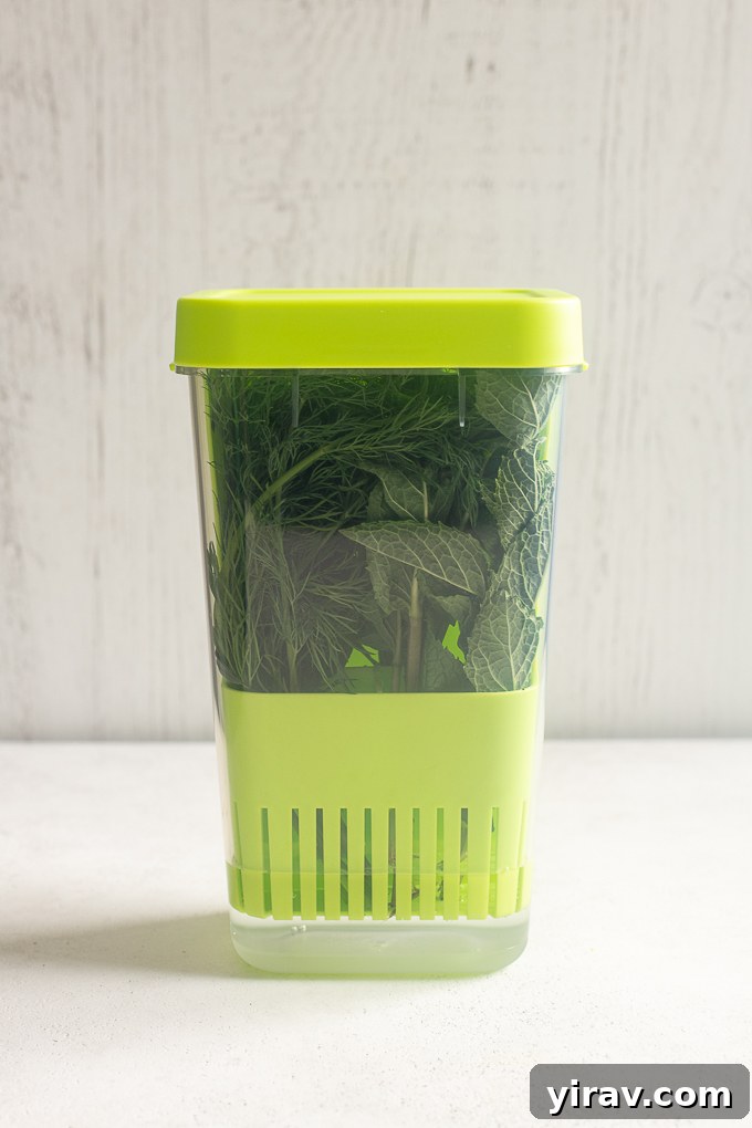 The Essential Guide to Fresh Herbs 5 Luvcosy herb keeper for storing fresh herbs.